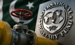 IMF major objection to reducing gas prices