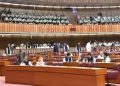 Record of expenses on National Assembly’s legal fees revealed