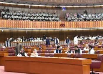 Record of expenses on National Assembly’s legal fees revealed